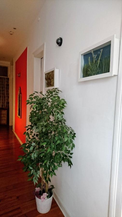 No Limit Alfama Guesthouse Lisboa Ngoại thất bức ảnh